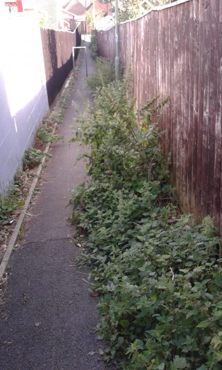 path between folly view rd and leamington drive 001
