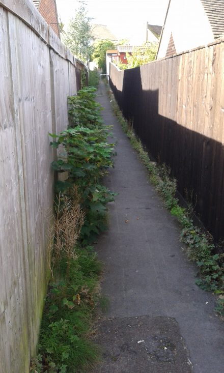 path between folly view rd and leamington drive 003