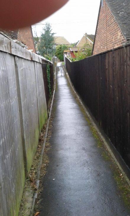 path between folly view rd and leamington drive 007